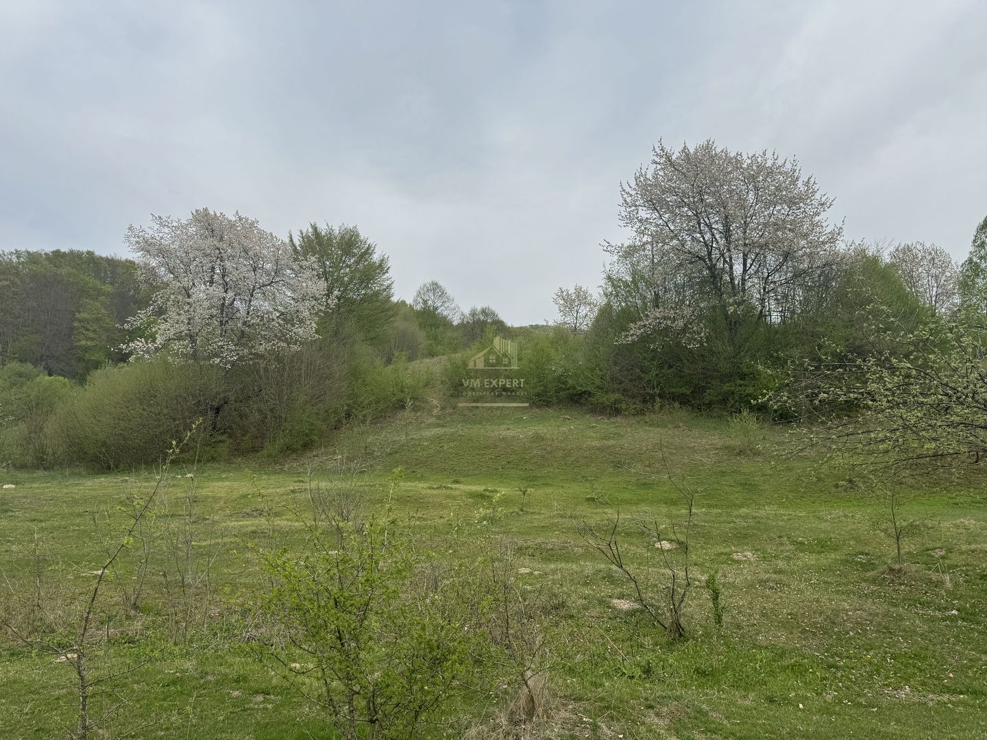 TEREN EXTRAVILAN 40000 MP, ALBESTI DE MUSCEL, CANDESTI - Poză 12