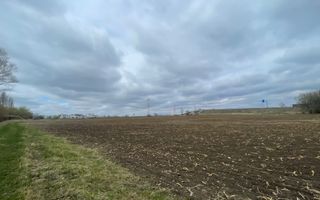 TEREN INTRAVILAN | 50 ARI | ZONA PERIFERICA RADAUTI - Poză 1