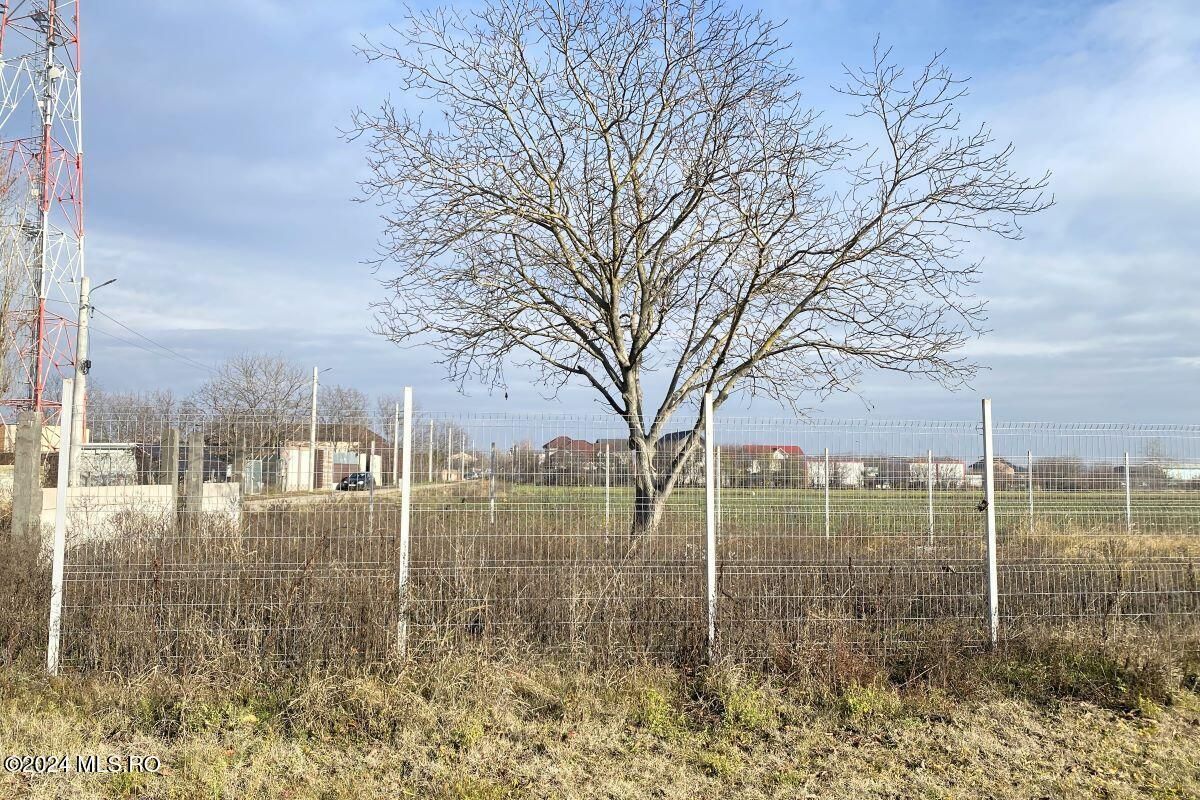 Afumati - Str. Iasomiei, 2409 MP, stradal, intravilan, deschidere 12 m - Poză 10