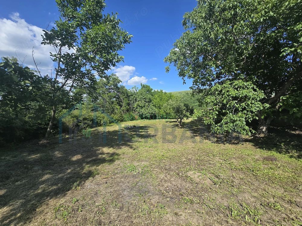 Ansamblu rezidențial cu două case și teren de 1,4 hectare, Bohotin - Poză 9