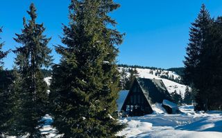 Cabana A Frame | Vartop | Bihor - Poză 3
