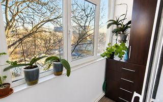 4 Camere - 91mp - Tatarasi - FARA RISC - Poză 4