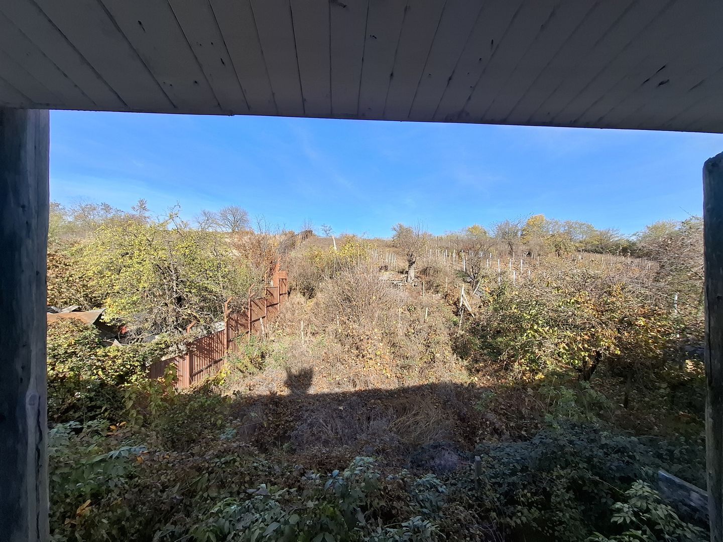 ila cu 6 camere + casă locuibilă pe teren intravilan de 1700 mp, cu vi - Poză 20