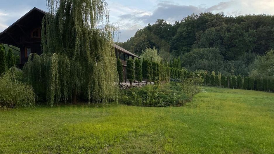 Vanzare teren 3000 mp, cabana, zona D D Rosca, Faget - Poză 1