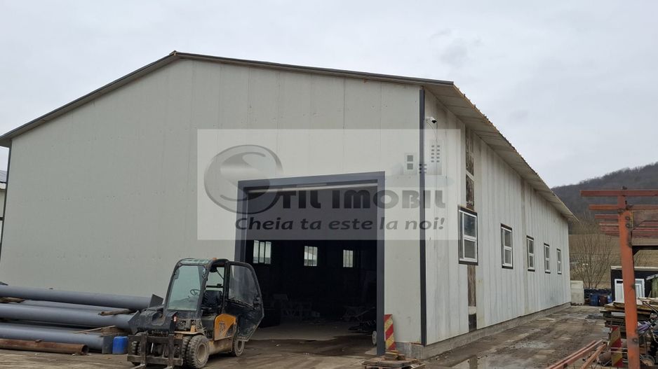 Hala de inchiriere 596 mp str. Trei Fantani - Poză 4