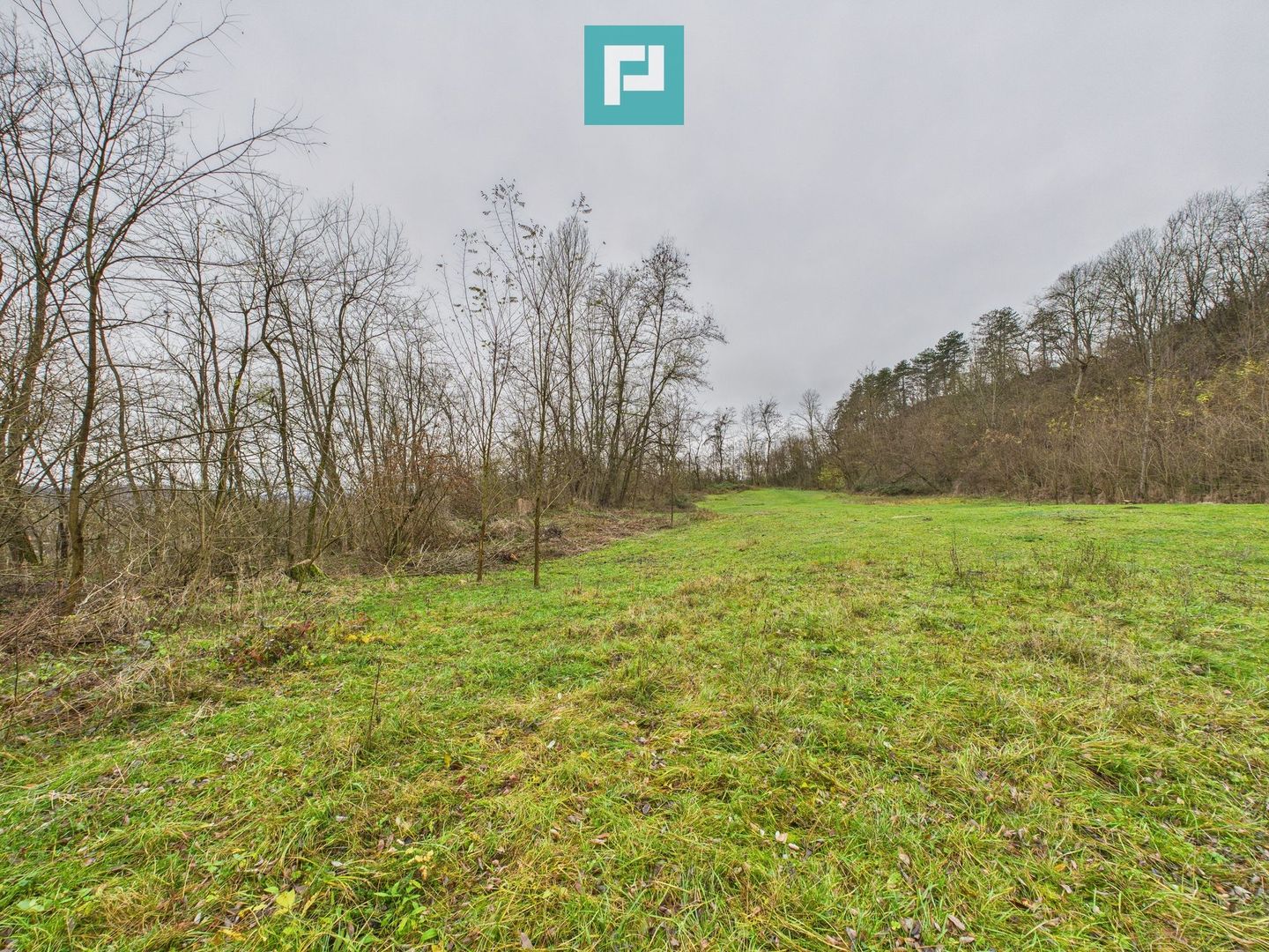 Casă cu teren de 24.679,73 mp, în Hălmagiu, Arad - Poză 33