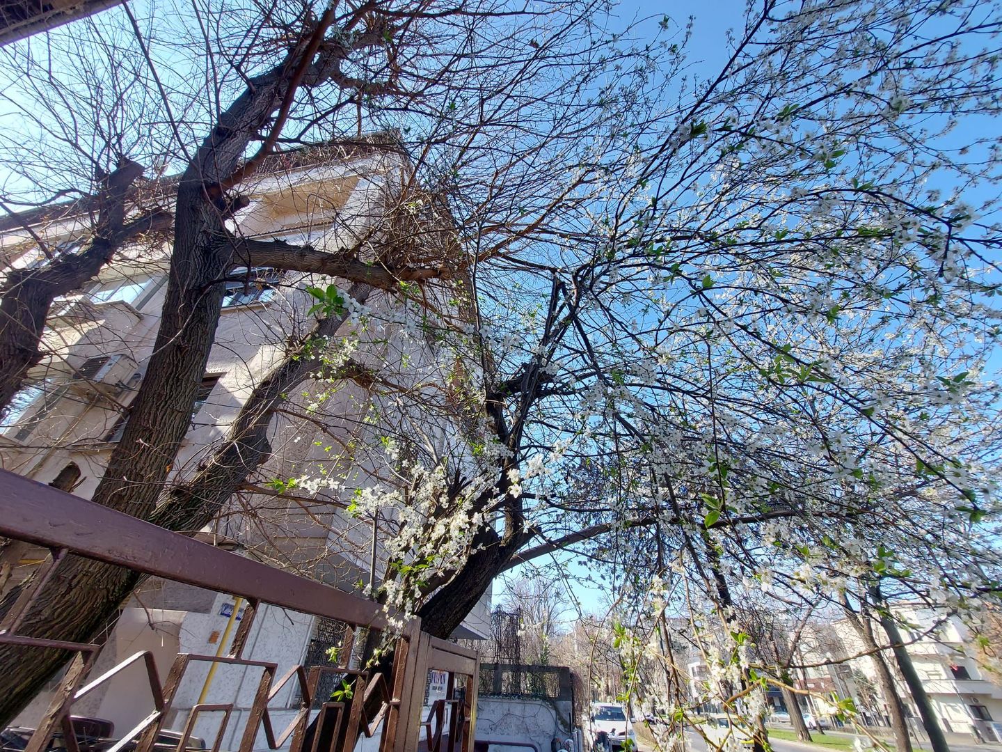 Garsoniera Dorobanti Stradal Langa Televiziune - Poză 24