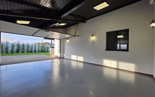 Vanzare Vila 1 Decembrie - Adunatii Copaceni - Poză 13