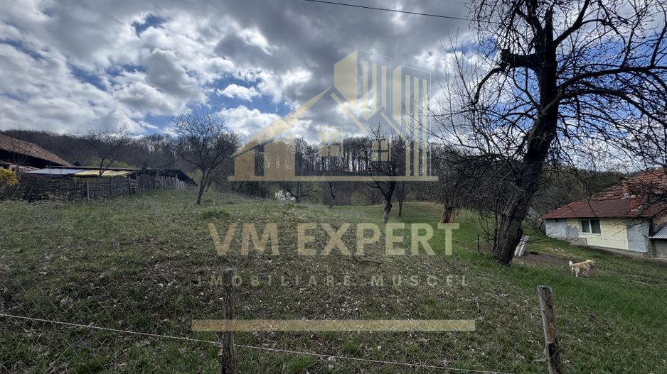 TEREN INTRAVILAN 4365 MP POENARII DE MUȘCEL  JUDEȚUL ARGES - Poză 7