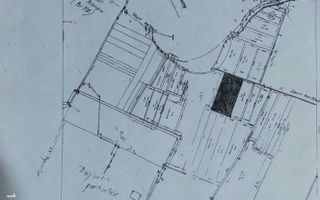 Vanzare -Teren- 25.000 mp -Voluntari-P+6E - Poză 2