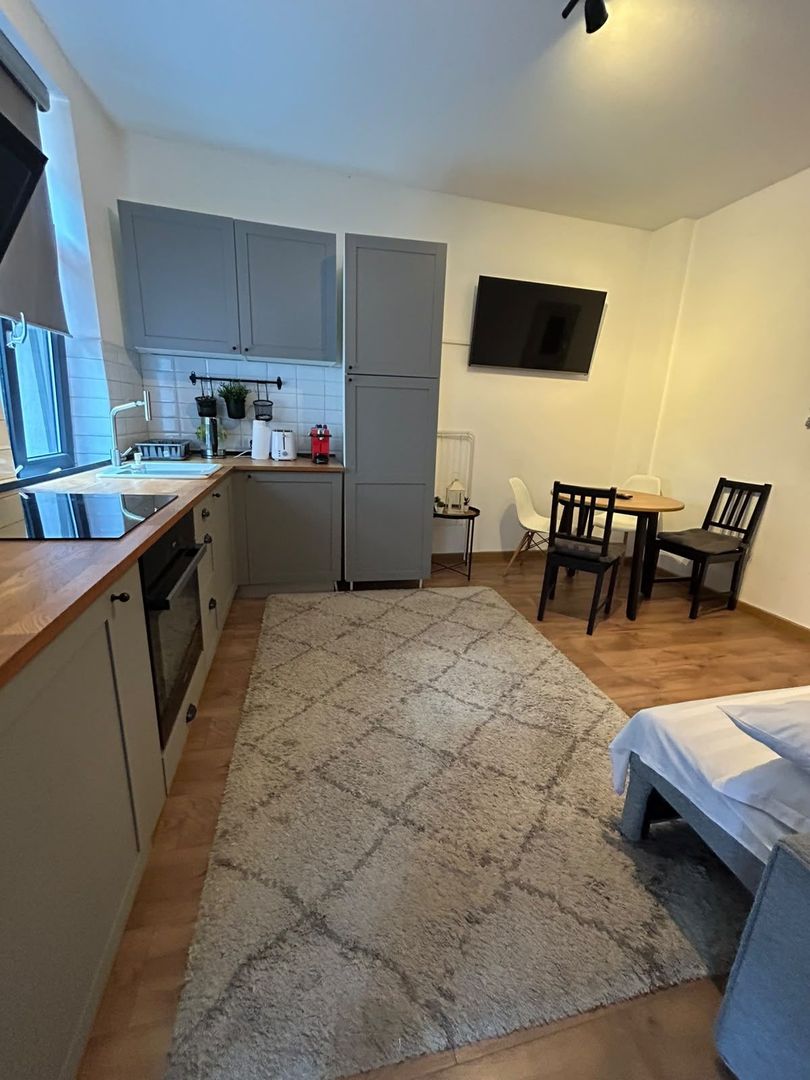 APARTAMENT 2 CAMERE OPENSPACE PARCUL CAROL - TINERETULUI - Poză 18