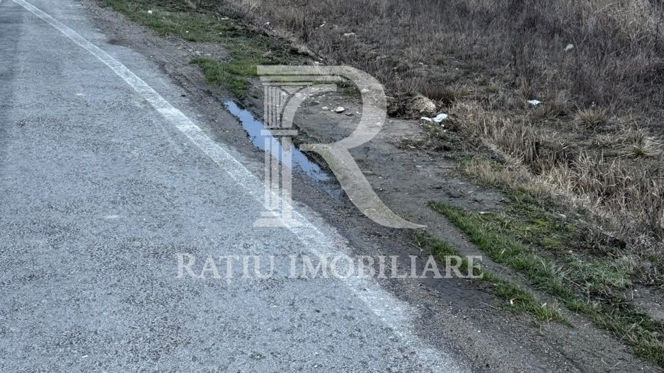 Teren de inchiriat | 20,088 ha | Sacadat | Bihor - Poză 4