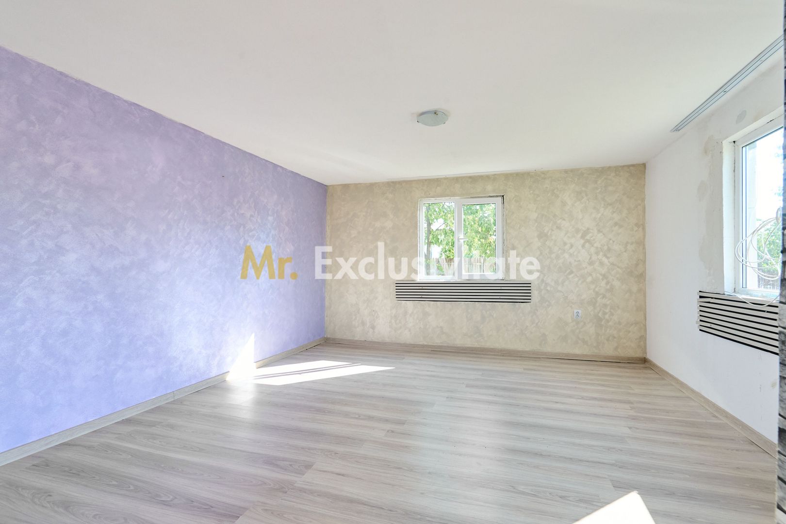 Casa + 3105 mp teren intravilan  comuna Uda - Poză 13