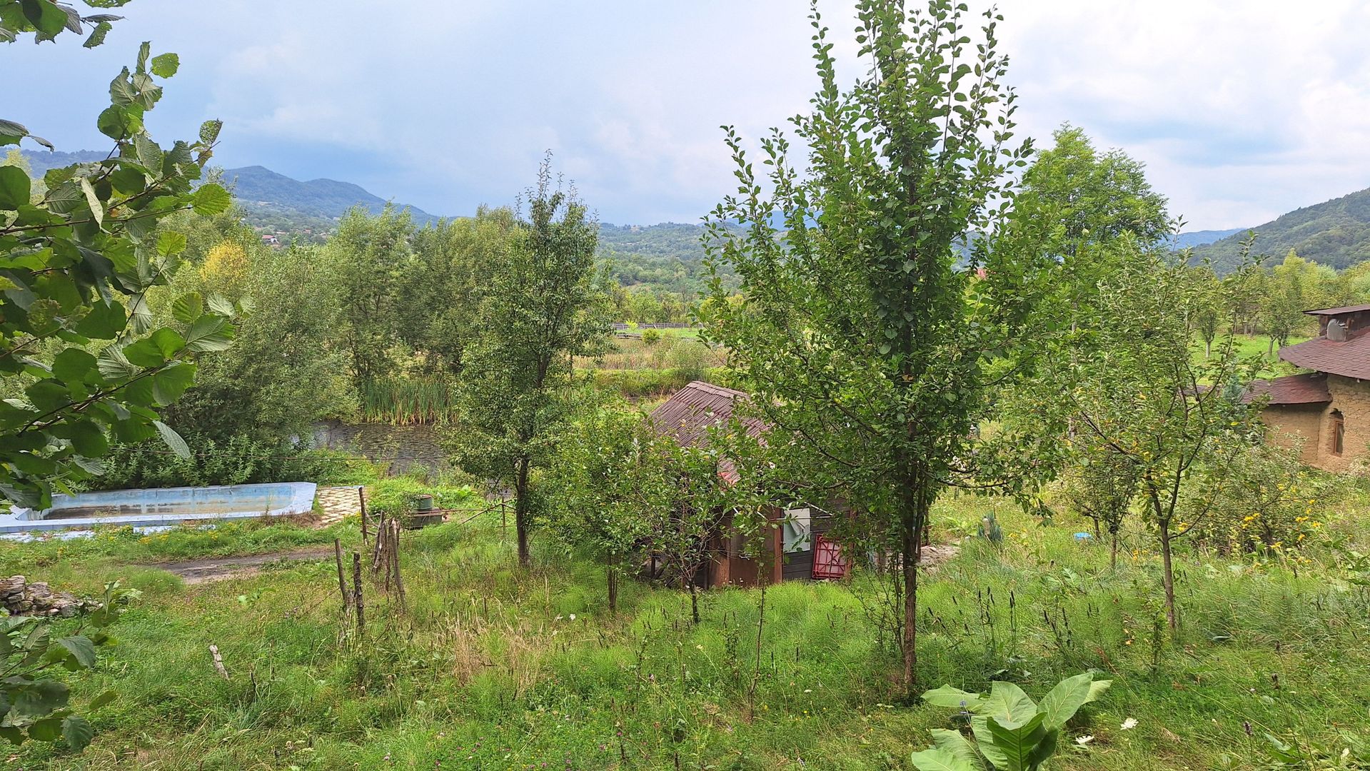 VANZARE ANSAMBLU CASUTE BRADULET ARGES - Poză 12