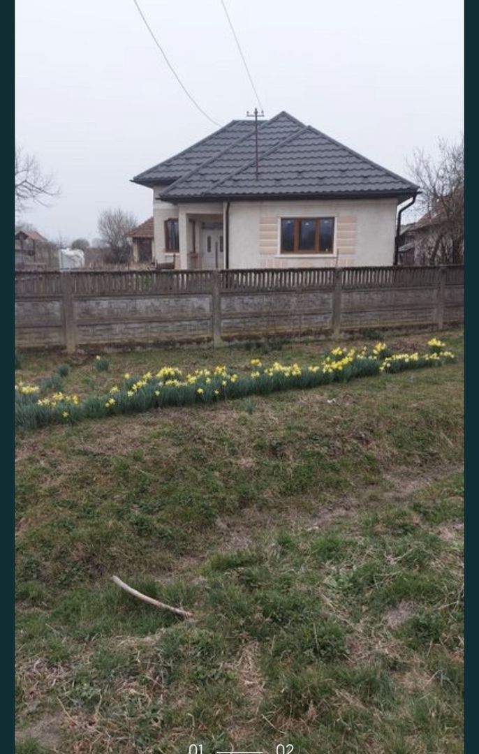 Casa Valea Vinului - Poză 1