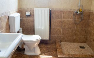 Vila spatioasa pt doua familii 10 camere Clinceni Monumentul Eroilor - Poză 11