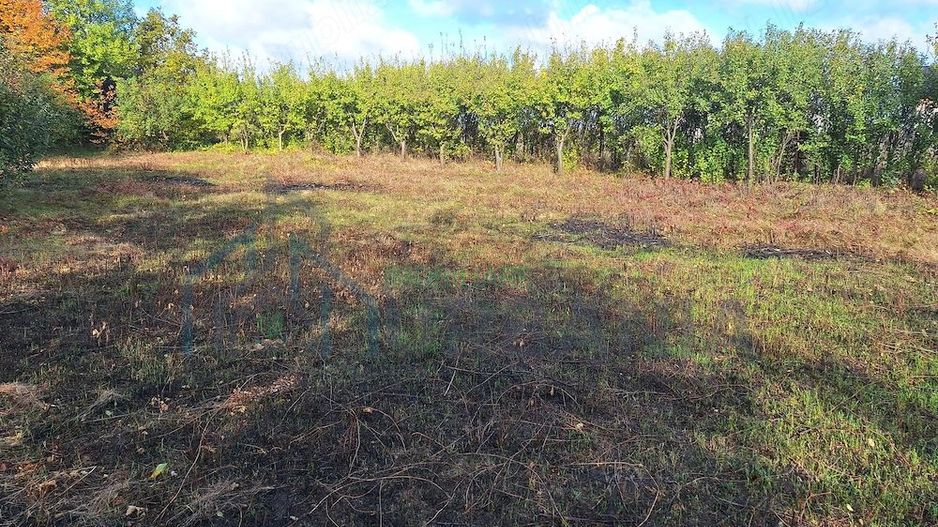 Terenuri intravilane în Horlești-Rediu, Iași, zone rezidențiale - Poză 4