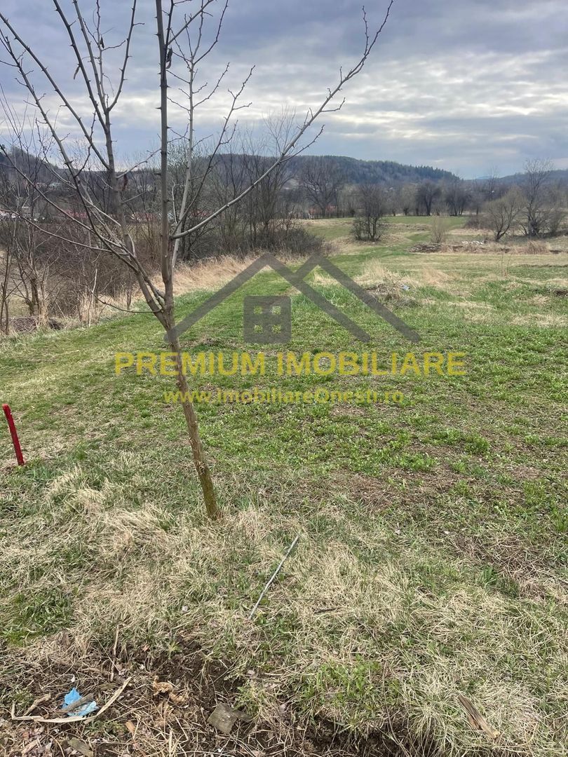 Vânzare teren 3145 mp – Mănăstirea Cașin, Onești - Poză 5