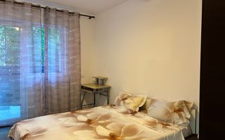 Studio / Tractorul / Pet- Friendly / Curte - Poză 1