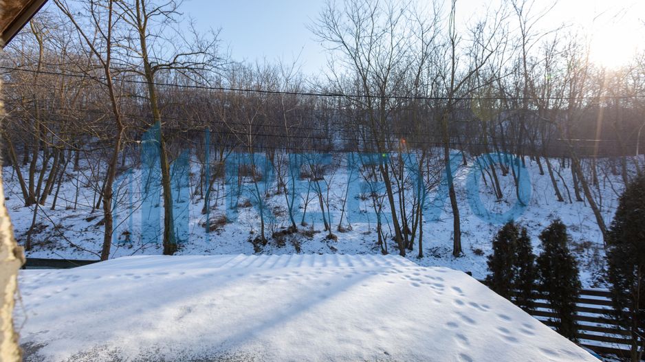 Proprietate cu casa si spatiu comercial+teren 4060 mp Bahna - Poză 40