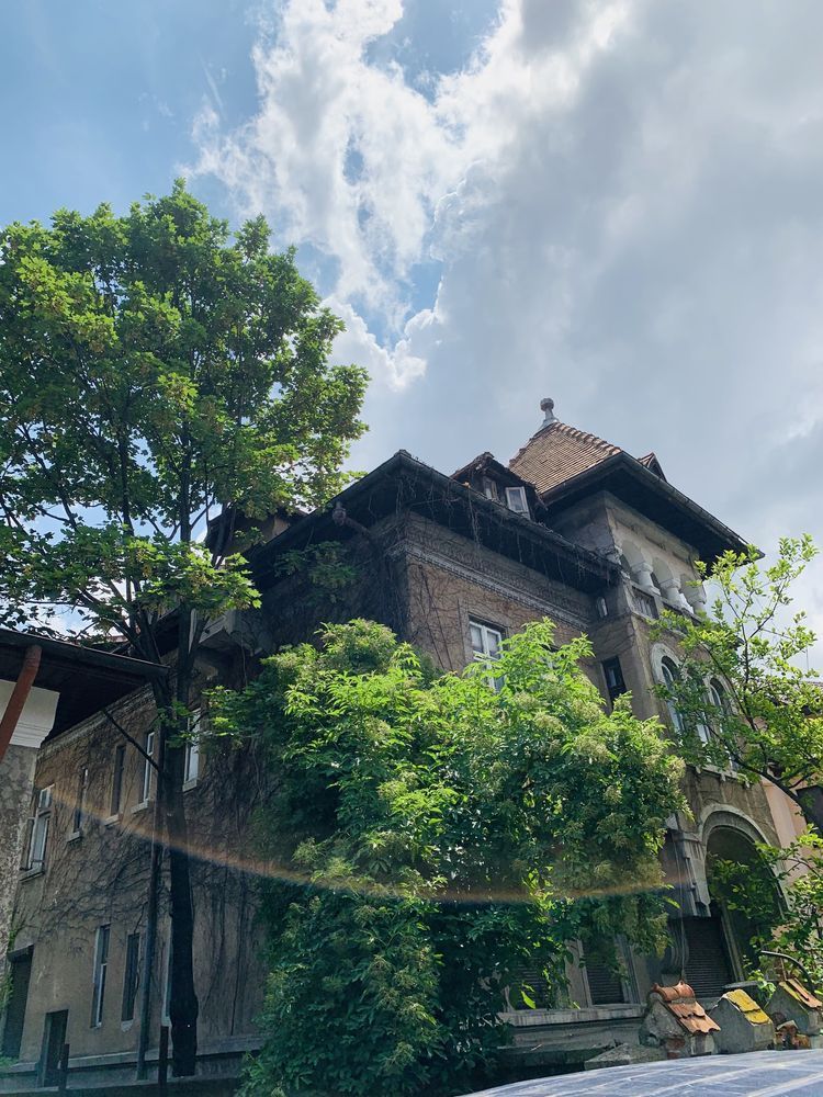 - Super oferta - Apartament 3 camere cu mansarda si curte Cotroceni - Poză 6