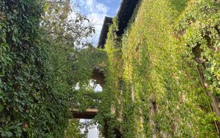 VILA INDIVIDUALA CISMIGIU | INTR. TEMISANA - Poză 14