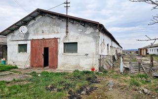 2 Hale pt.depozitare sau productie, 6100 teren, Lunca Muresului - Poză 2