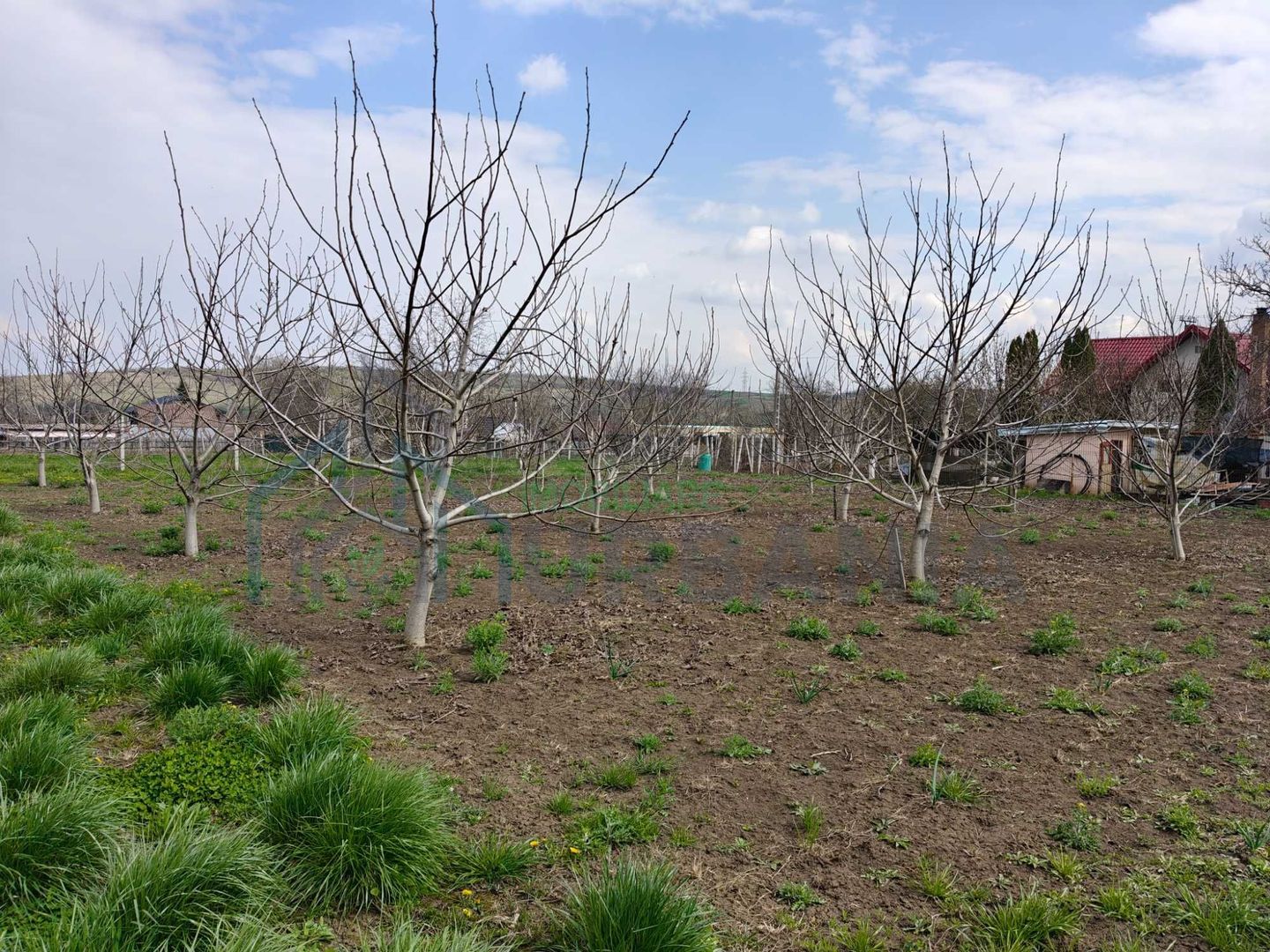 Teren intravilan de 5800 mp, sat Mădârjesti (lângă Sârca) - Poză 4