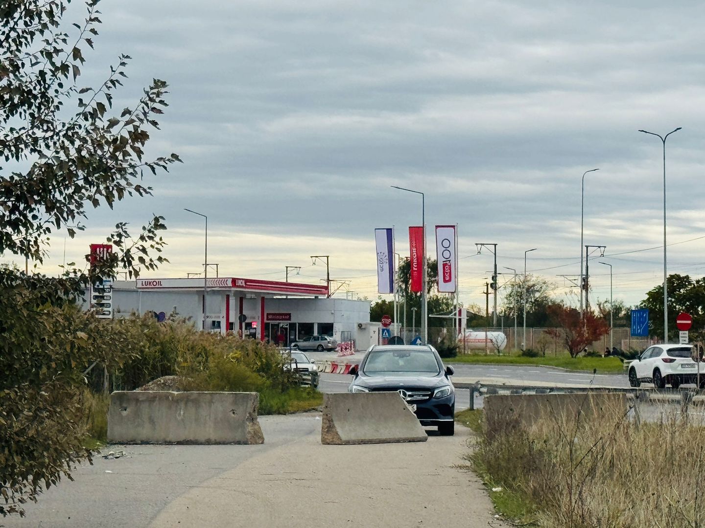 Teren extravilan Chitila/Mogosoia 15895mp - Poză 6