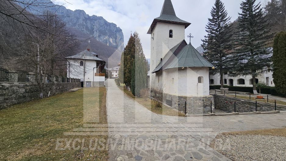 Casa de vacanta cu potential de Pensiune Turistica, Ramet - Poză 17