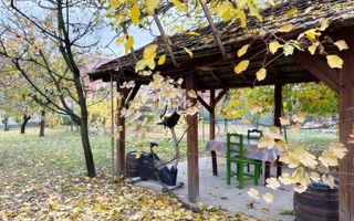 Casa cu teren 930 mp in Iosia, Oradea - Poză 1