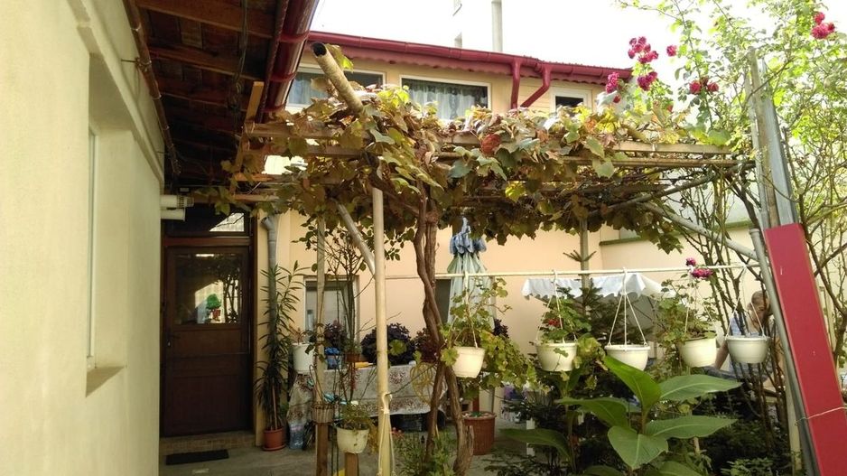 Mihai Bravu, Vitan - Poză 1