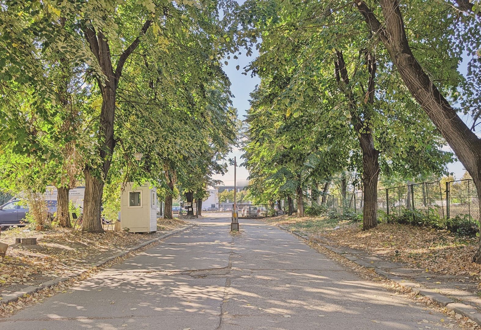 Zero comision, 33 - 374mp birou mobilat Semanatoarea, 5' metrou - Poză 19
