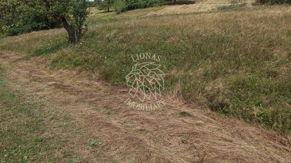 Teren 5200 mp-ideal cabane, case de vacante, agricultura-Livezile - Poză 3