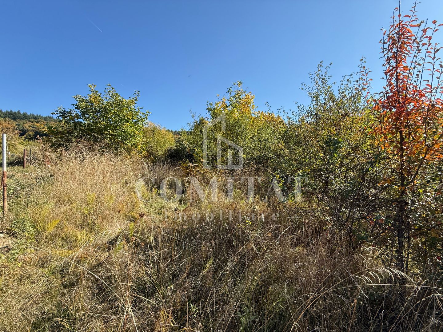 Teren intravilan Făget | 1.490 mp | Front 15 ml | Toate utilitățile - Poză 6
