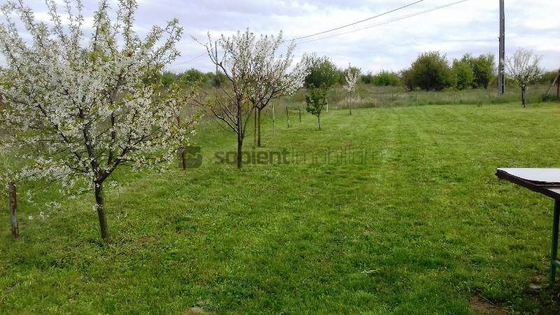 Teren extravilan in zona Oncea - Poză 11