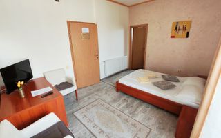 1 camera, TOTUL NOU, modern, PET FRIENDLY, parcare, Borhanci - Poză 9