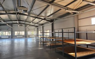 Inchiriere Hala moderna, 400 mp Bascov, zona industriala - Poză 13