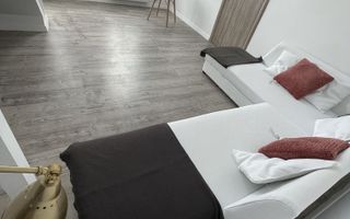 Apartament 2 camere Calea Calarasilor cu gradina - Poză 7