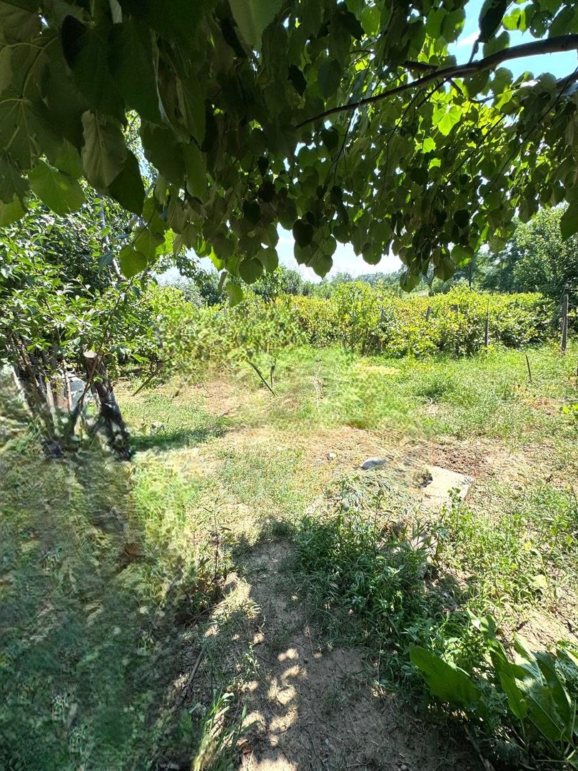 99.900 Euro casa+teren 1000 mp(concesiune) in com Sendreni - Poză 16