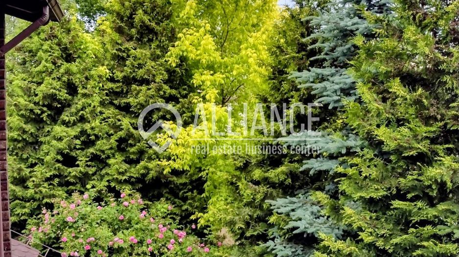 BREBU/PRAHOVA(cod04)-Casa P+1 zona mirifica - Poză 3