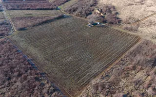 Vita-de-vie Premium  teren de 6800 mp în Covăsinț - Poză 15