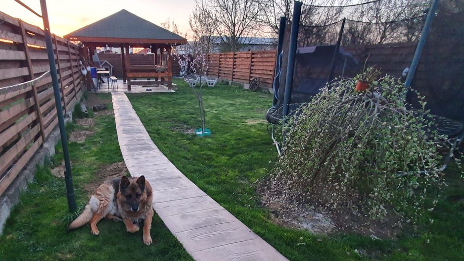 BRASADAS vinde casa individuala in zona Baritiu. - Poză 3