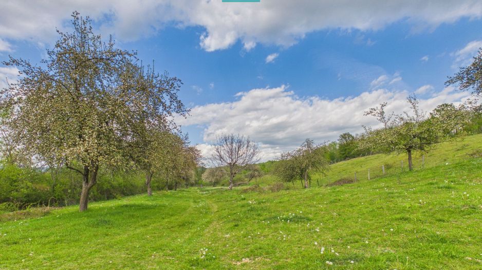 Casă cu teren de 17.681 mp, în loc. Hălmăgel, Arad - Poză 13