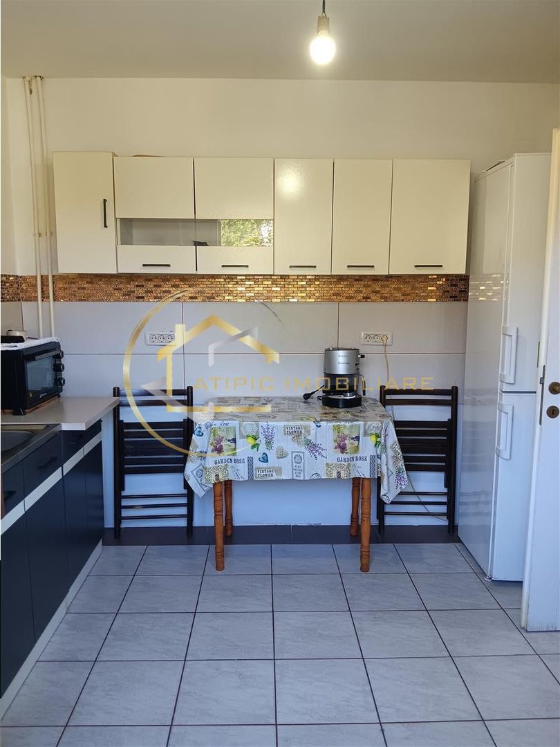 De vanzare vila individuala in Lunca Cetatuii Cartierul Tineretului - Poză 8