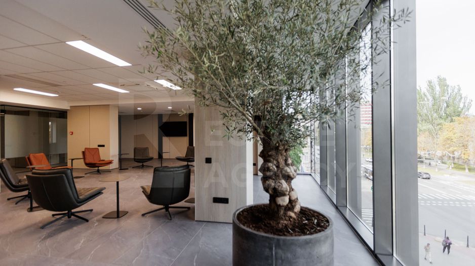 Chirie, oficiu, 990 mp, bulevardul Ștefan cel Mare și Sfânt, Centru - Poză 57