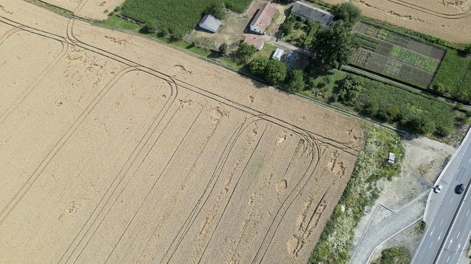 Teren 7653mp cu PUZ aprobat DN Arad Oradea - Poză 2