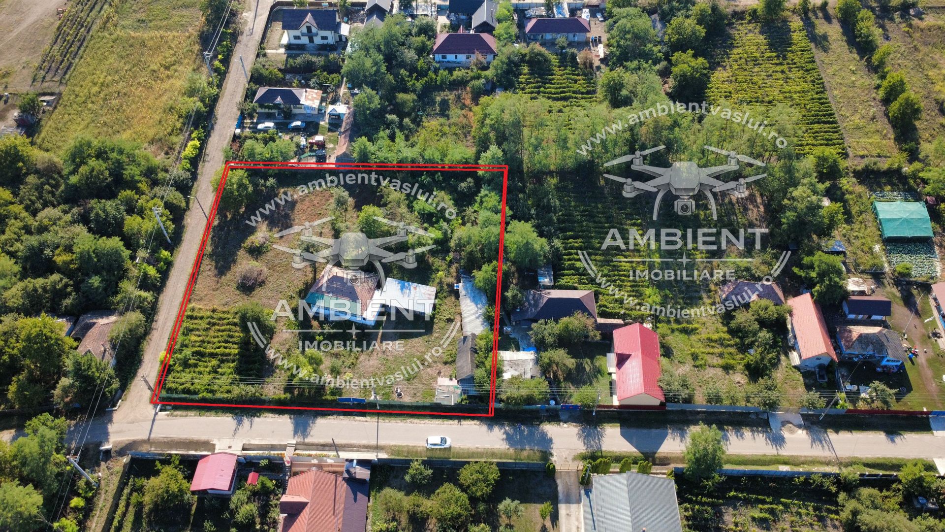 TEREN INTRAVILAN 3.300 mp, deschidere 60 m, sat DELEA - VASLUI; - Poză 3