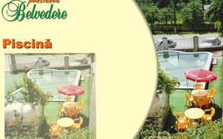 VILA - PENSIUNE CU RESTAURANT + SI TEREN 6406 MP, VALEA MARE PRAVAT, - Poză 16