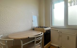 Aproape de UMFT, o camera, pet-friendly. - Poză 6